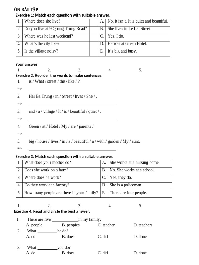 English Language Exercises for Beginners | PDF