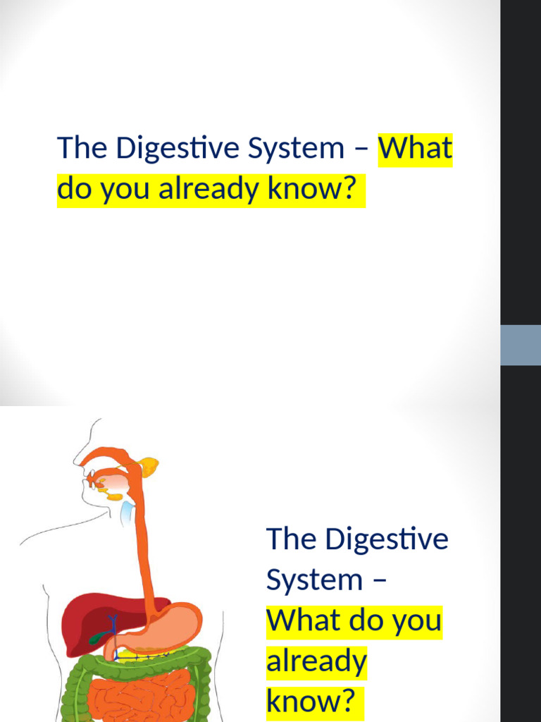 Lesson 5 Digestion and Absorption | PDF | Digestion | Glycogen