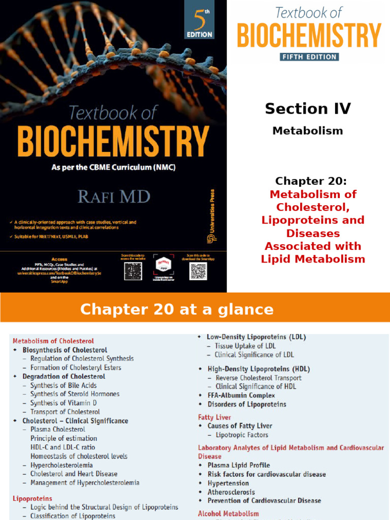 Cholesterol Metabolism and Heart Disease | PDF | Lipoprotein | High ...