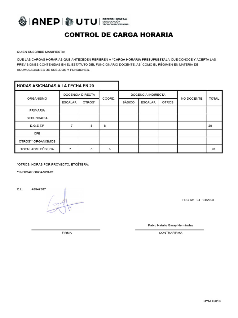 Control de Carga Horaria Docente | PDF