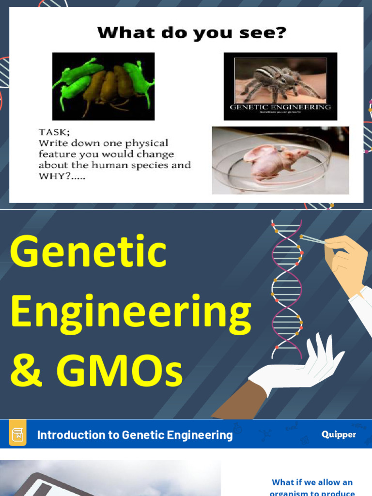 Genetic Engineering and GMOs Overview | PDF | Genetic Engineering ...