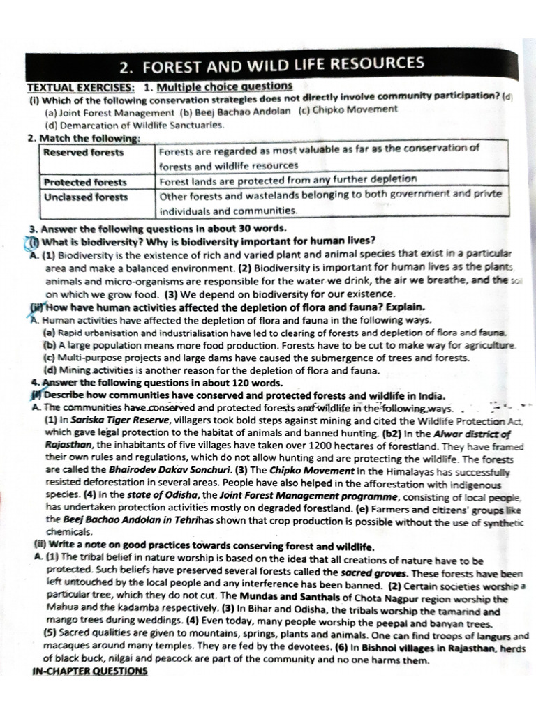 Document 95 | PDF