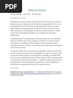 Download Microtia en Quito by Ricardo Andrs Castaeda SN88815809 doc pdf