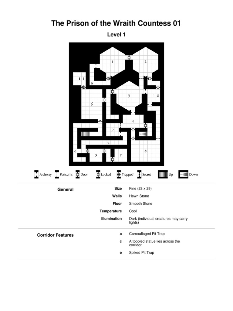 Dungeon Map: The Wraith Countess | PDF