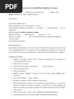 Download PROTOCOLO DE AUTOPSIA MDICO LEGAL by Lit Diane SN88819706 doc pdf