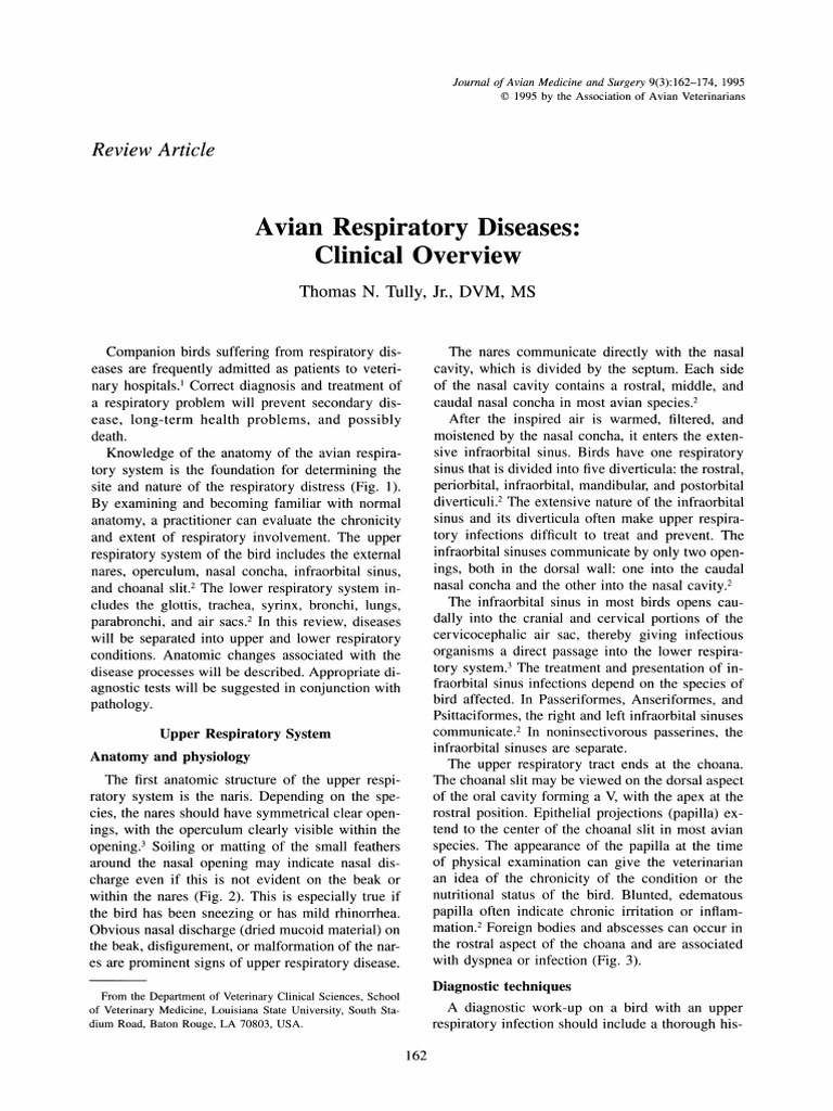 Avian Respiratory Diseases Overview | PDF | Infection | Respiratory System