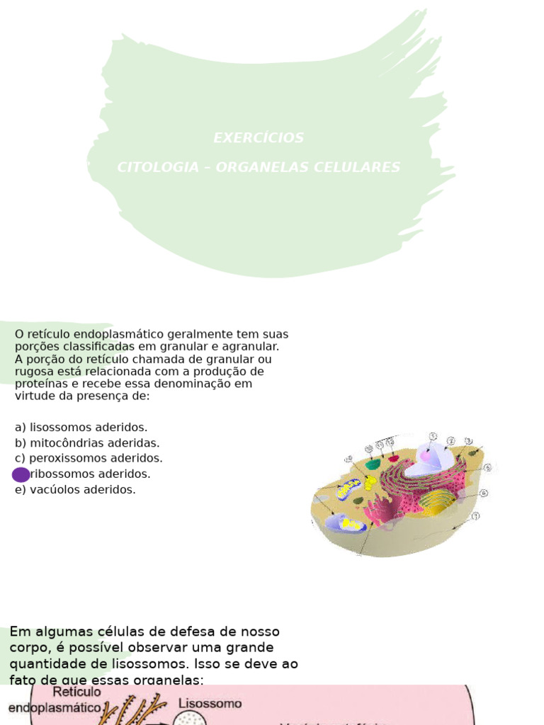 Questões sobre Organelas Celulares | PDF | Célula (Biologia) | Citoplasma