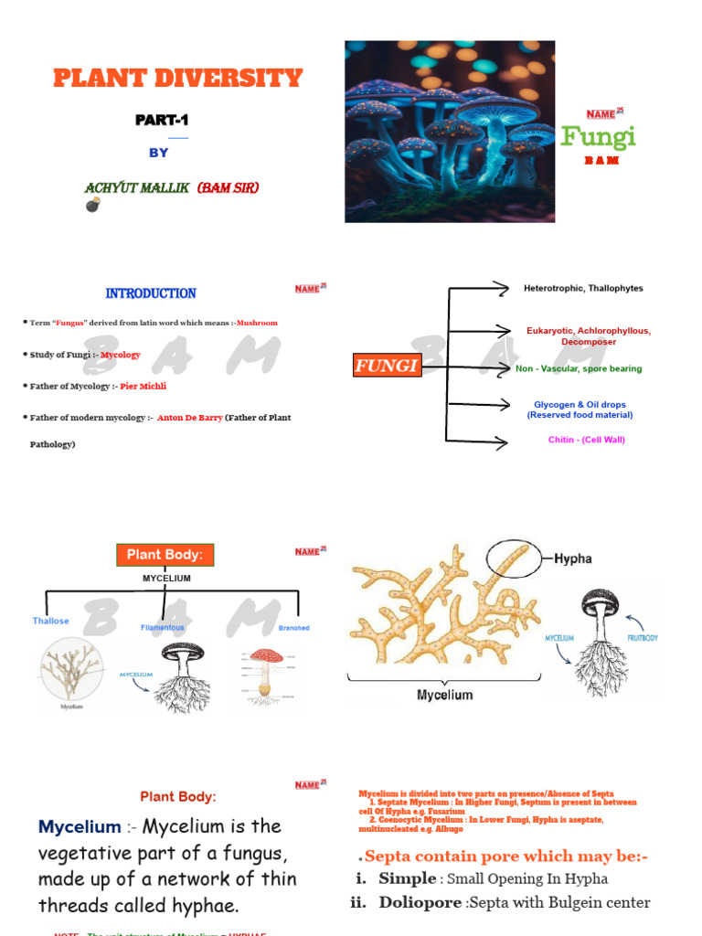 Fungi Note by BAM Sir - b71b3057 444a 4c52 Bc43 A84ffe1d120d | PDF ...