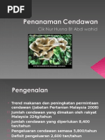 E-book Contoh Rancangan Perniagaan Penanaman Cendawan Tiram