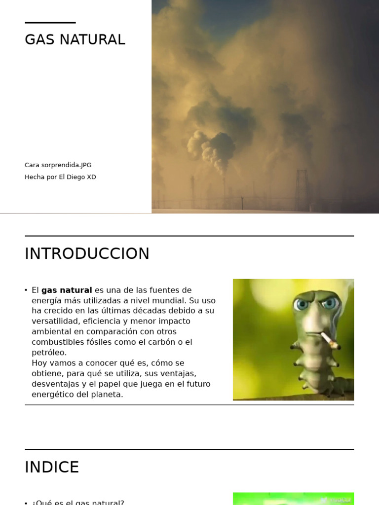 Gas Natural: Usos, Ventajas y Futuro | PDF | Gas natural | Energía ...