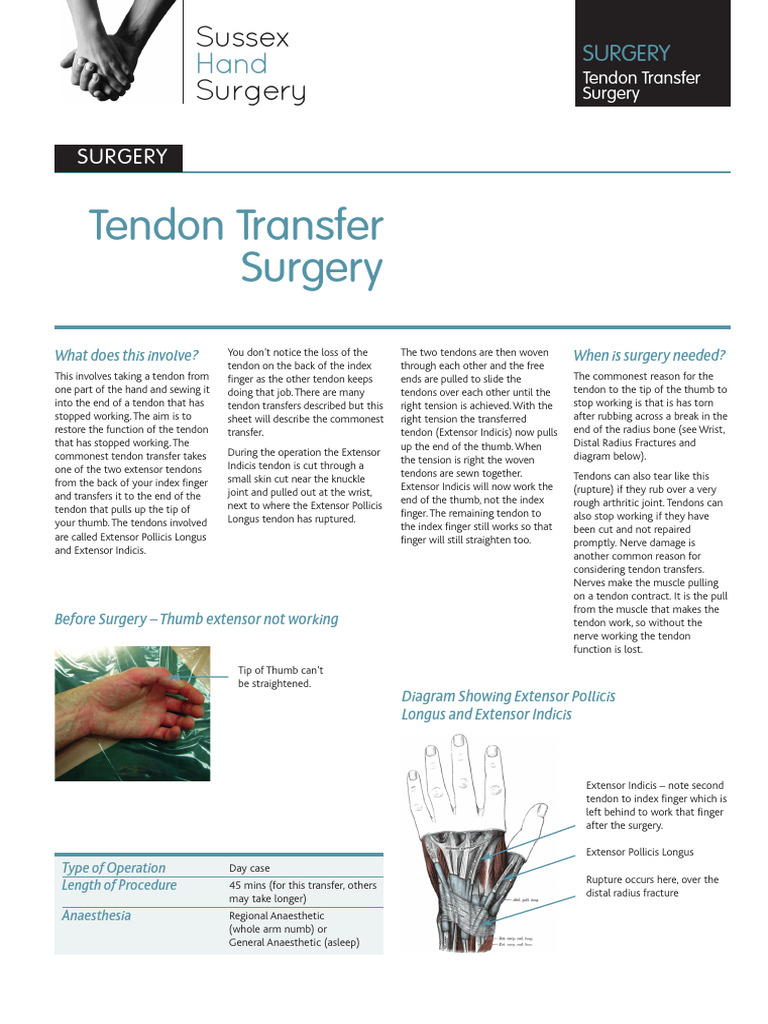 Thumb Tendon Transfer Surgery Guide | PDF | Thumb | Finger