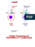 T Cell Subsets: Recognizes