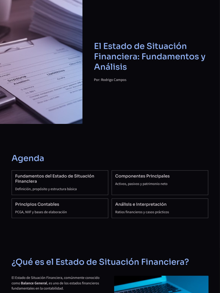 El Estado de Situación Financiera | PDF