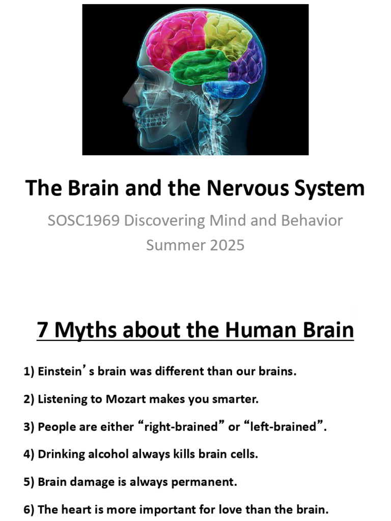 L7 - The Brain and Nervous System | PDF | Neuroimaging | Central ...
