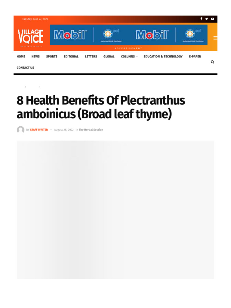 8 Health Benefits of Plectranthus Amboinicus (Broad Leaf Thyme ...