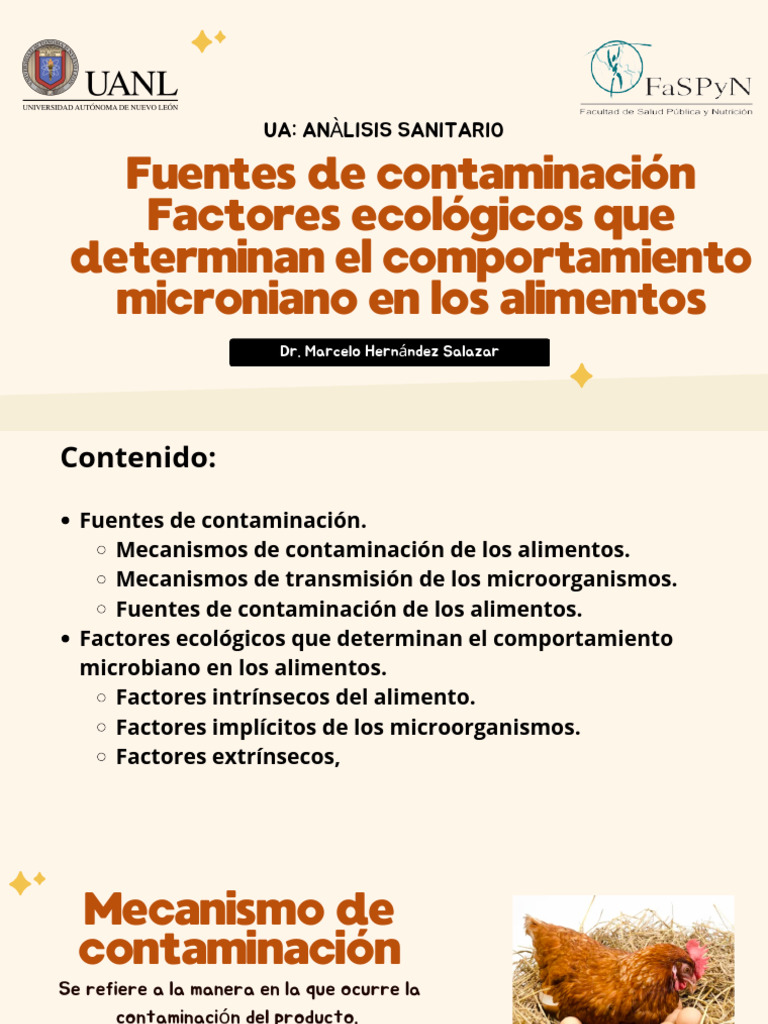 Fuentes de Contaminación | PDF | Las bacterias | Alimentos