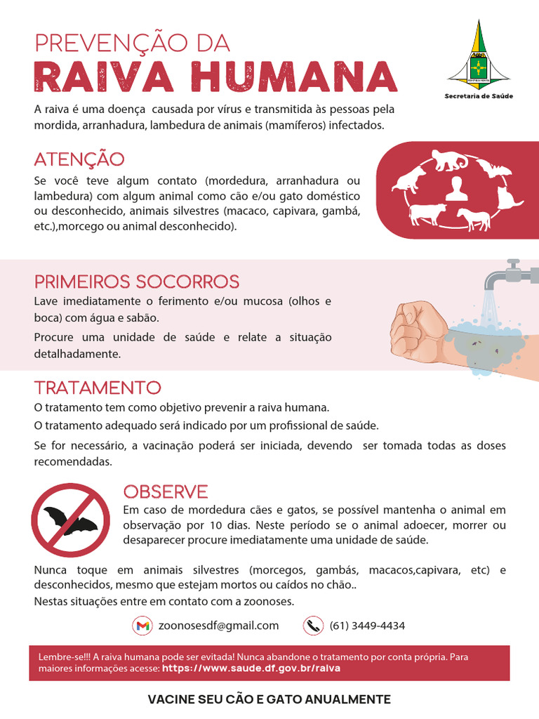 Prevenção e Tratamento da Raiva | PDF