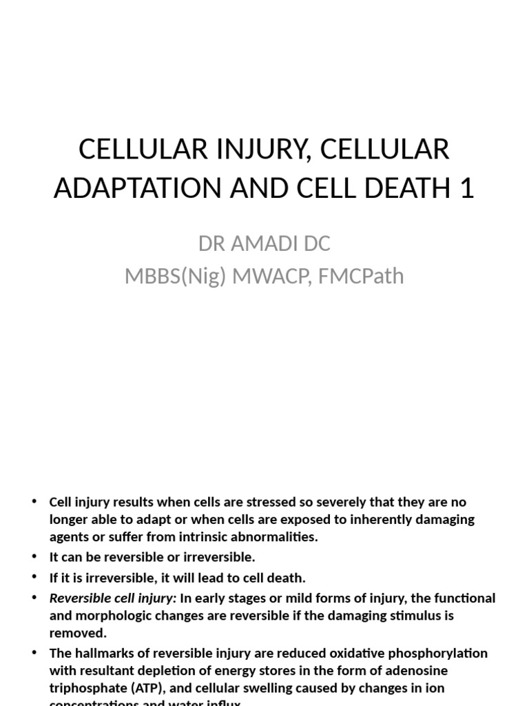 Cell Injury, Adaptation, and Death Explained | PDF | Apoptosis | Cell ...