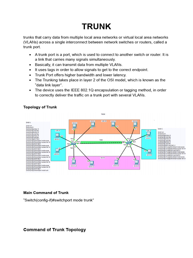 Understanding Trunking in Networking | PDF