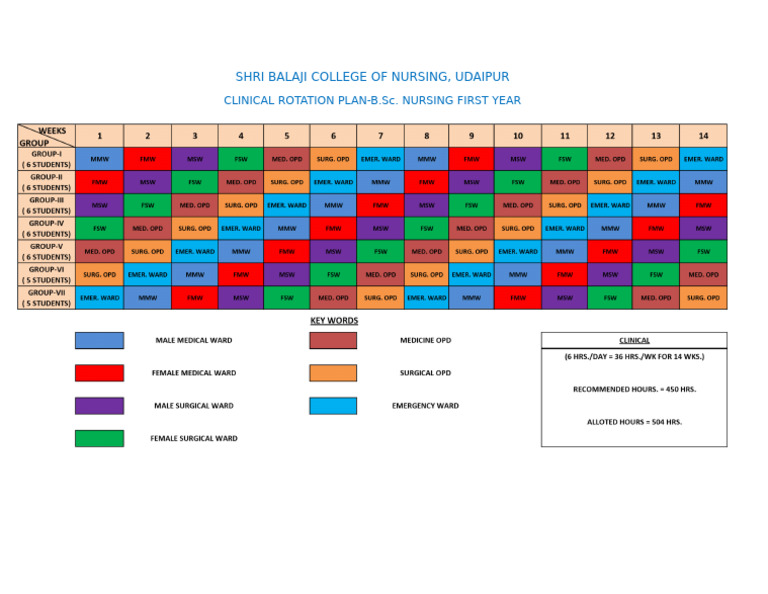 Clinical Rotation Plan | PDF