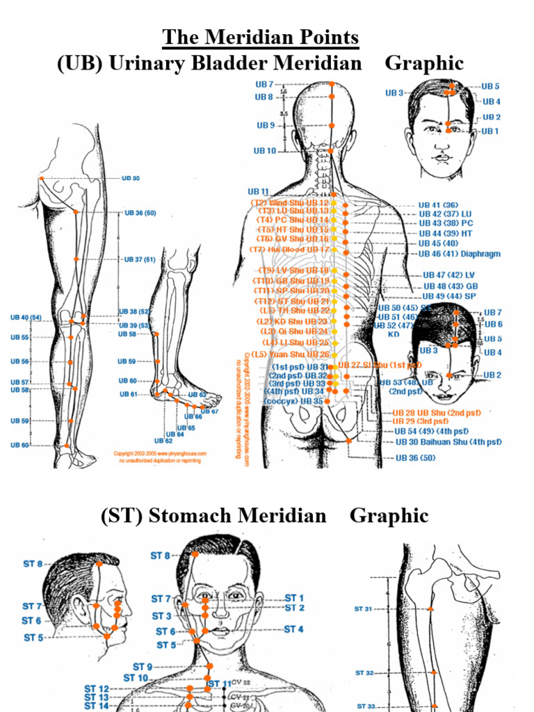 Meridian Points 12 PAGES Rankin Medical | PDF