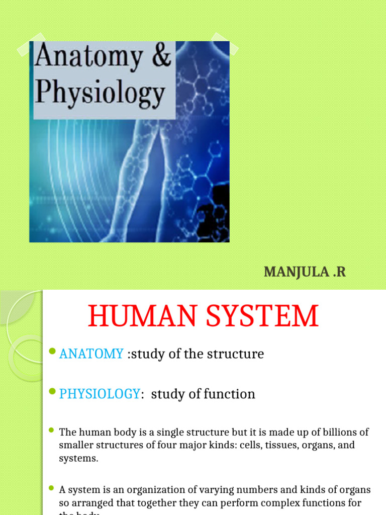 Overview of Human Body Systems | PDF | Human Body | Circulatory System