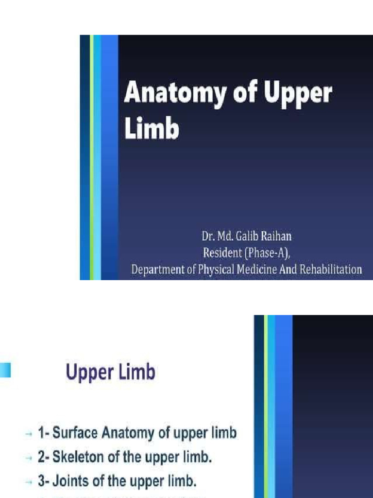 Anatomy Of Upper Limb Pdf