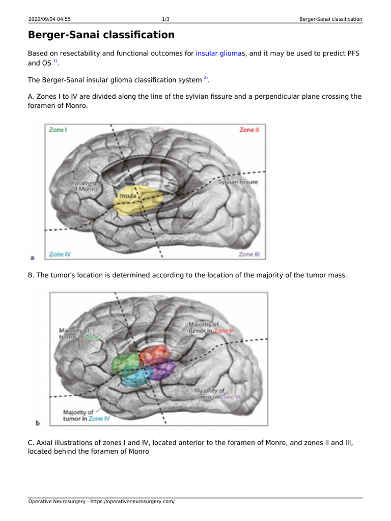 Berger-Sanai Classification Overview | PDF