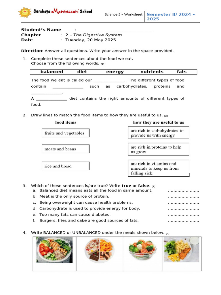 Digestive System Worksheet for Students | PDF | Foods | Lunch