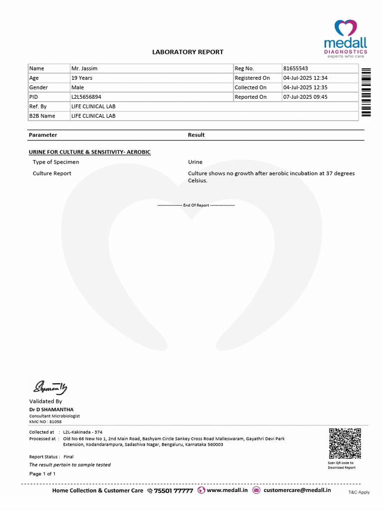 TestReport Jassim 81655543 | PDF