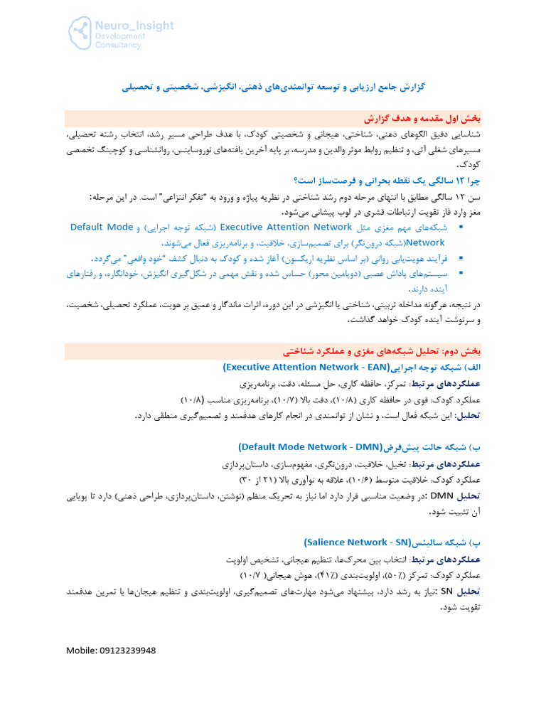 child-assessment-report-sample-pdf