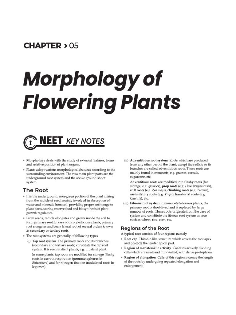 Chapter 5 Morphology of Flowering Plants | PDF