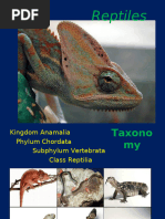 Tongo Lizard: Facts and Endangerment | PDF | Lizard | Predation