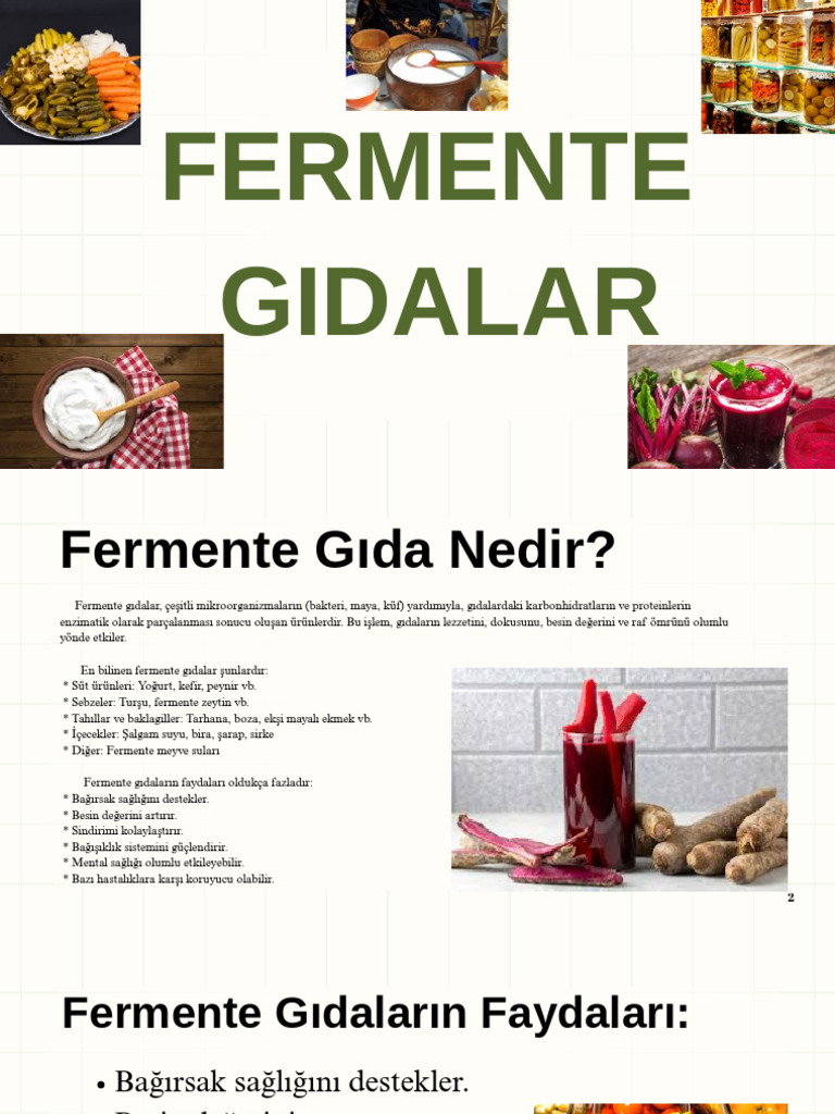 Fermente Gıdalar PDF | PDF