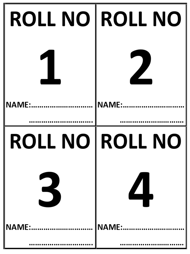 Roll No Format For Practicals | PDF
