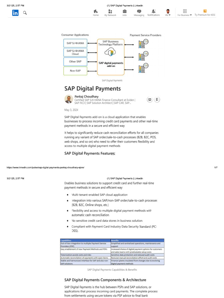 SPA Digital Payments | PDF