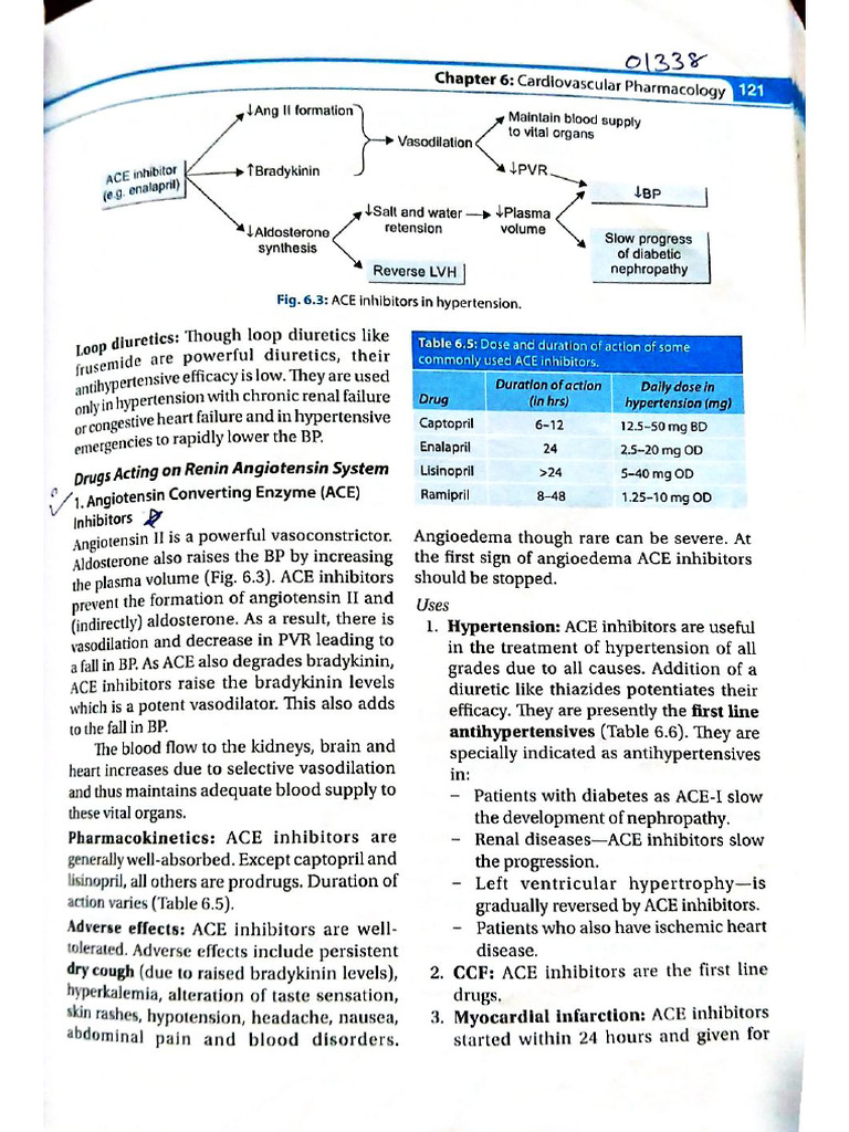 Document 4 | PDF