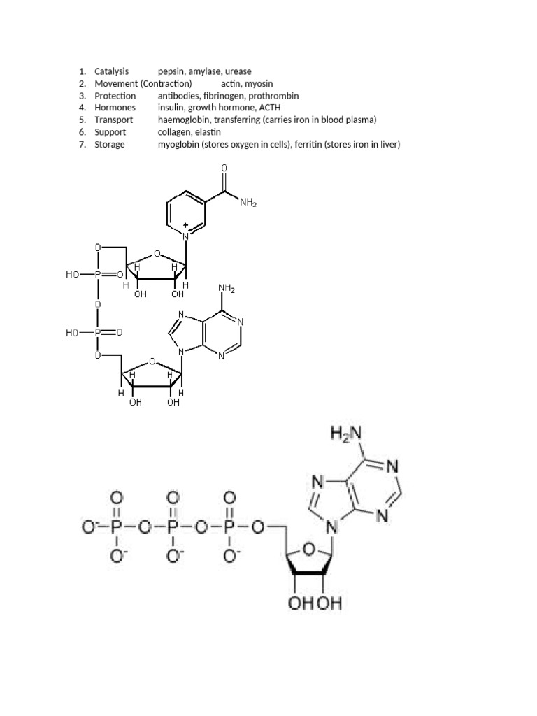 Functions of Proteins in Biology | PDF