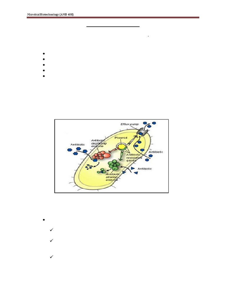 Antibiotic Resistance | PDF | Antimicrobial Resistance | Bacteria