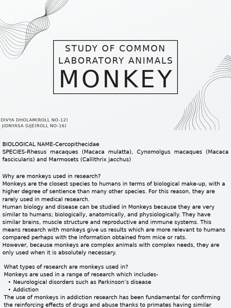 Monkeys in Medical Research: Uses & Benefits | PDF