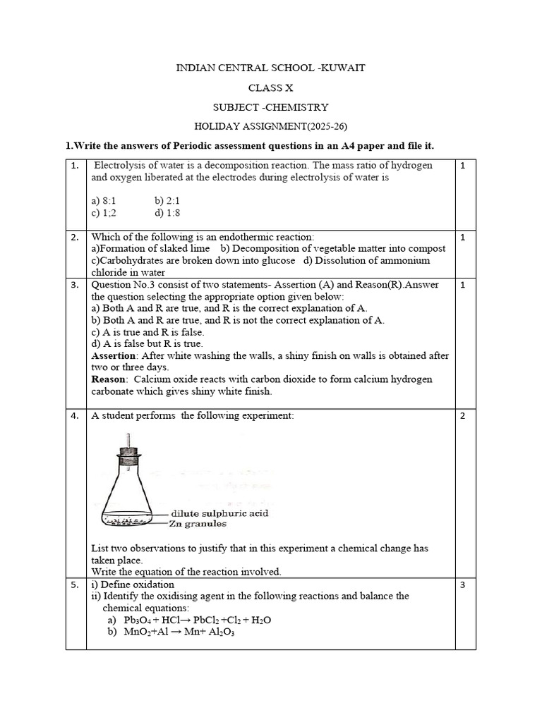 Class X Chemistry Holiday Assignment | PDF | Chemical Reactions | Acid