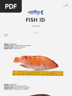 Filipino Fish Names and Pronunciations | PDF | Fish
