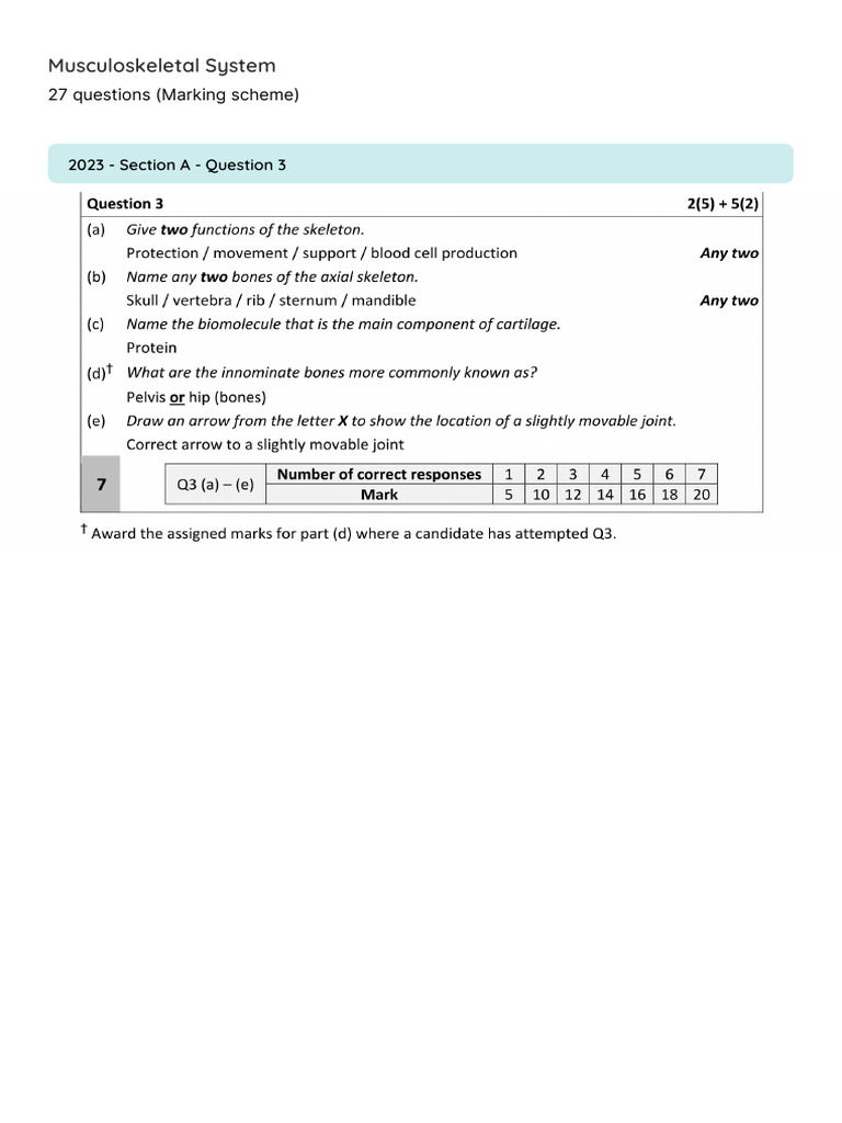 Musculoskeletal System Exam Questions | PDF