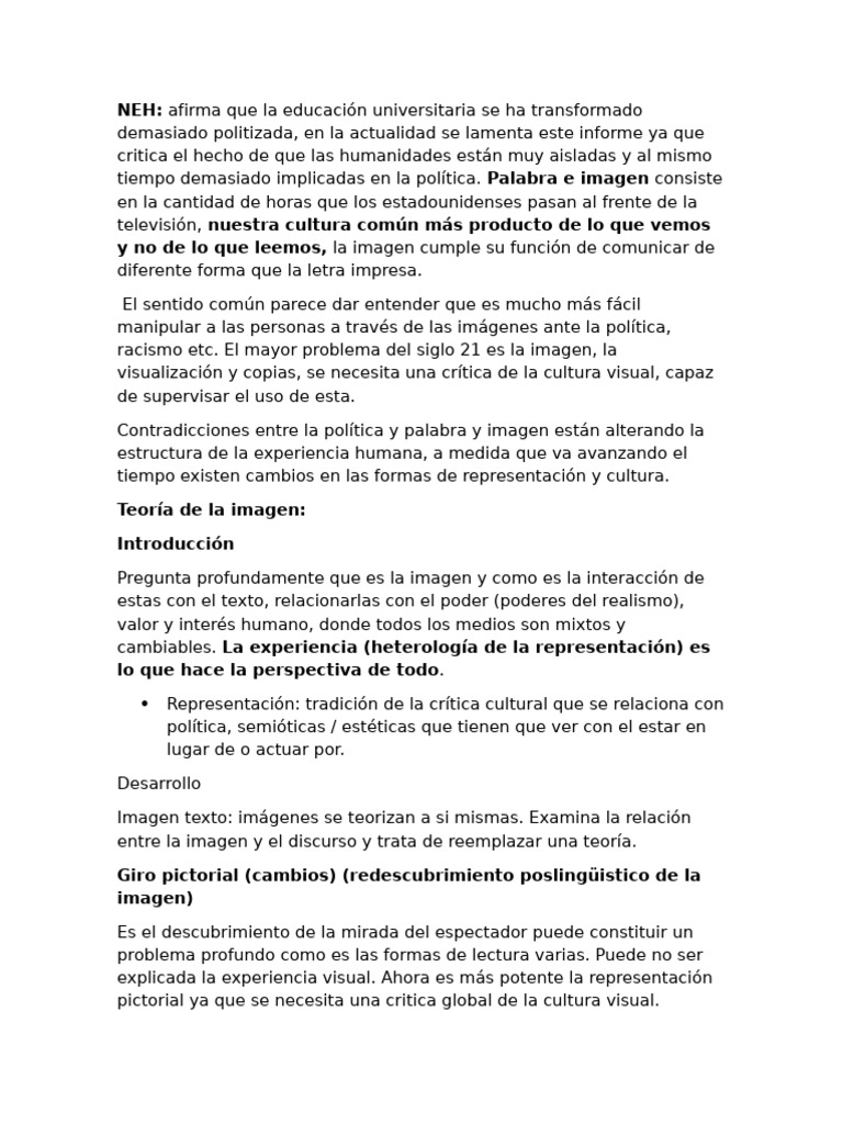 Teoria de La Imagen | PDF | Imagen | Experiencia