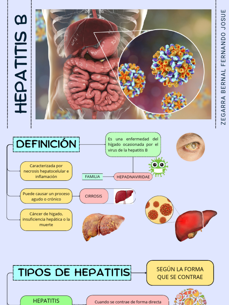 Hepatitis B | PDF | Hepatitis | Hepatitis B