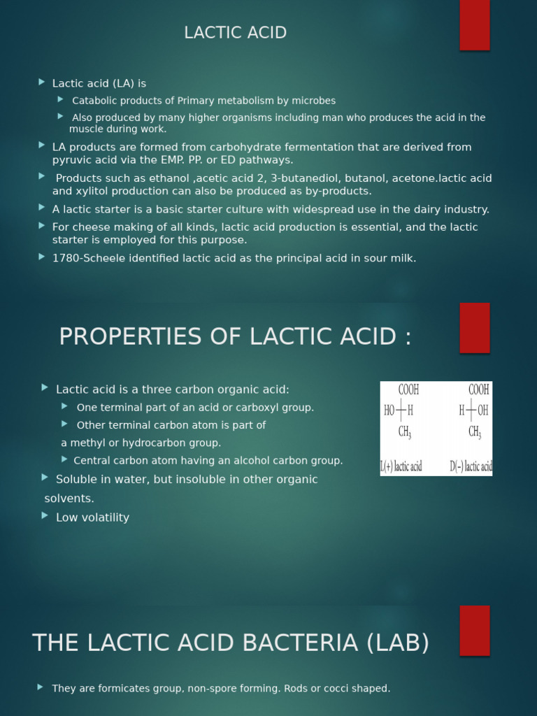 Industry Presentation | PDF | Lactic Acid | Fermentation