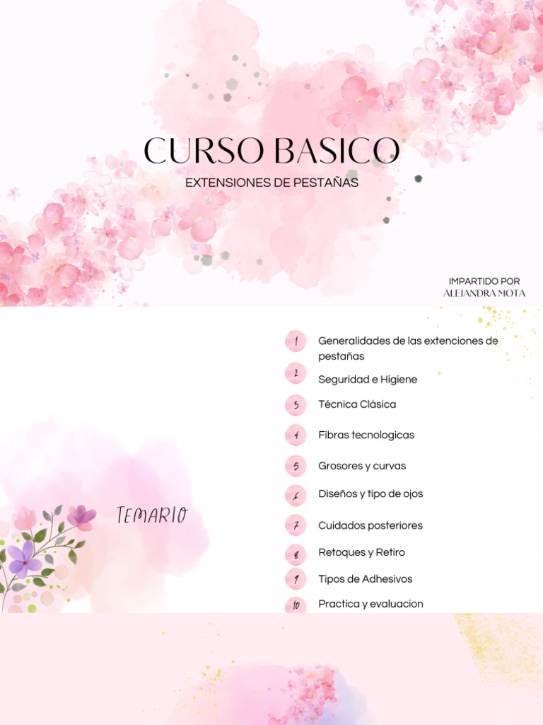 Curso Básico Extensiones de Pestañas | PDF
