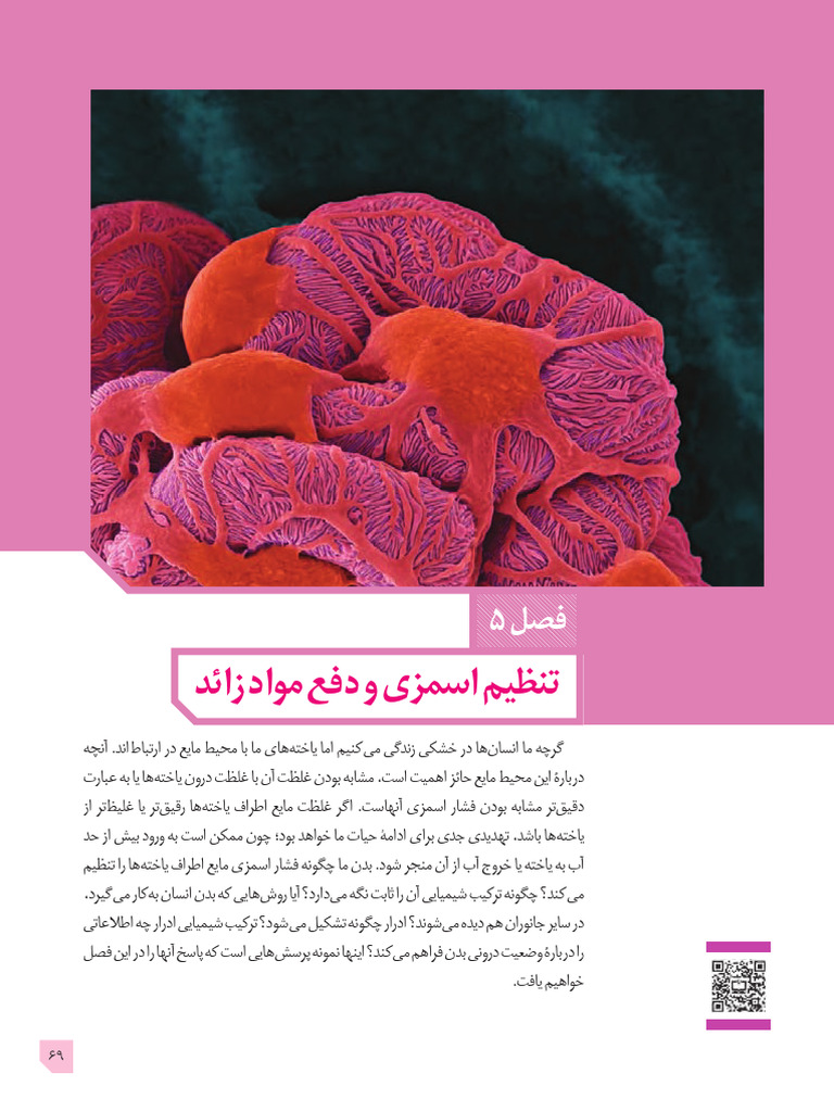 Zist Tajrobi 10 Part5 | PDF