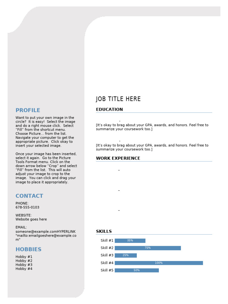 CV 3 | PDF