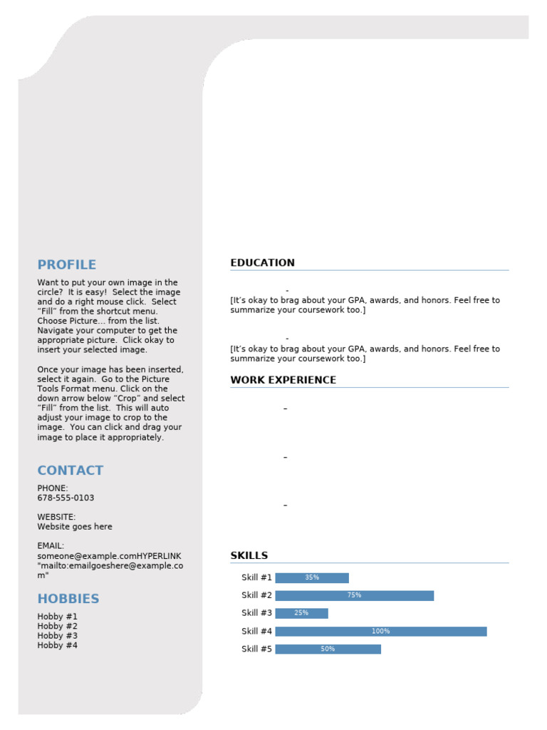 CV Template Instructions | PDF